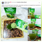 Barley Blend – Herbal Drink Mix (100% Natural Superfood)